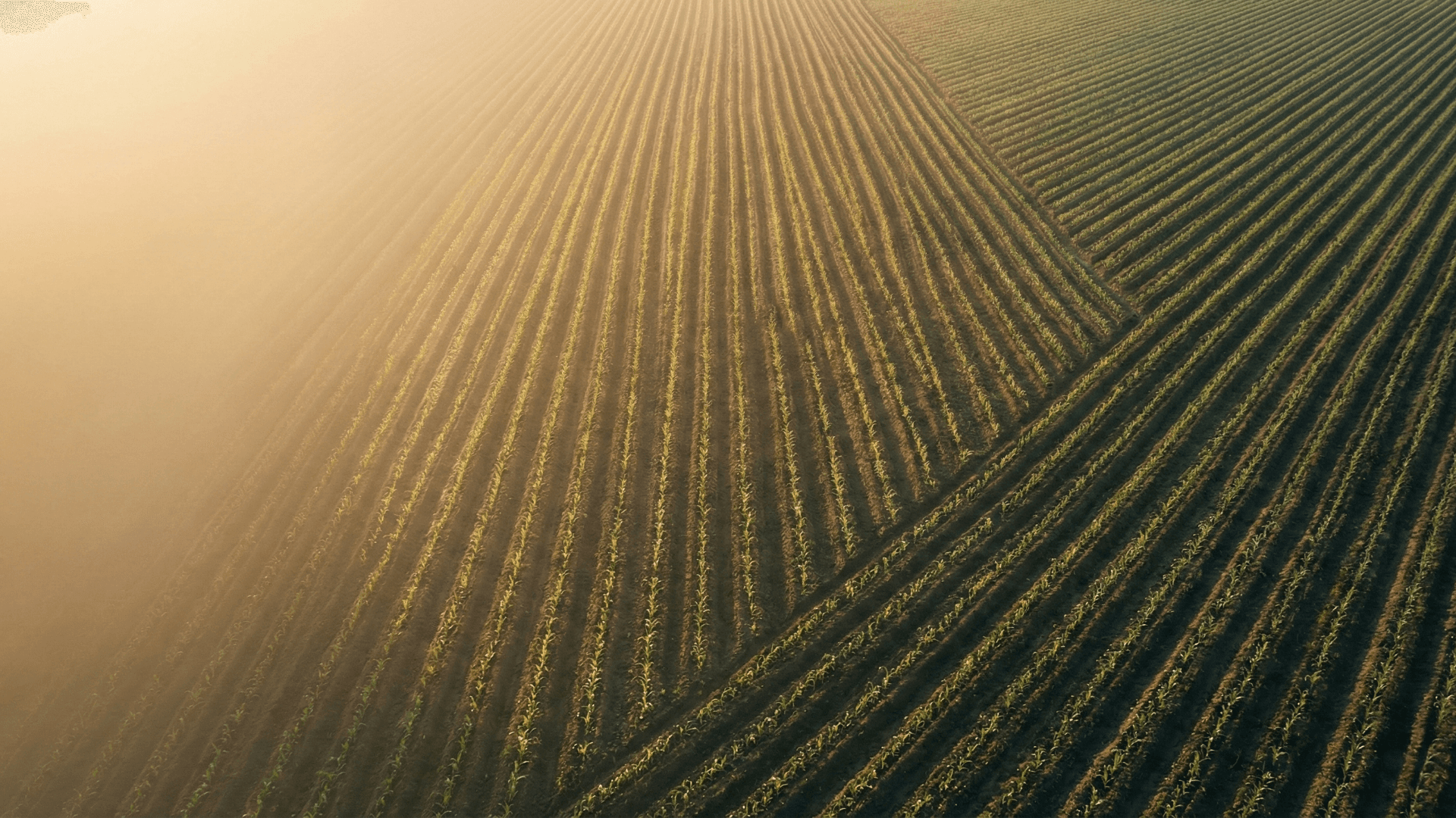 Sustainable farming communities